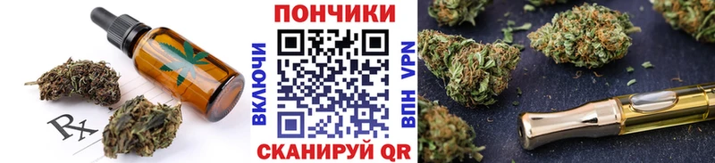 Canna-Cookies конопля  MEGA tor  Благодарный 