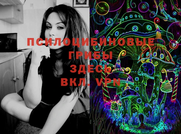 соль ск Михайловка