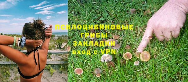герыч Михайлов
