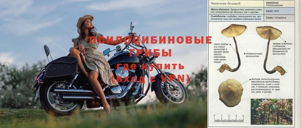 трава Медвежьегорск
