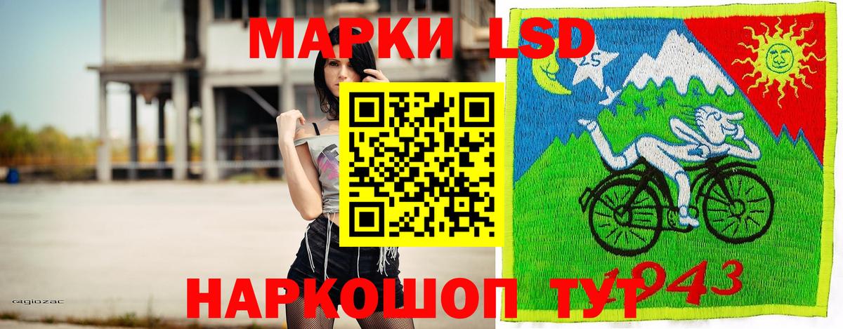 МЕФ Благодарный