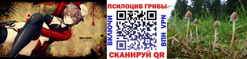 Псилоцибиновые грибы GOLDEN TEACHER  Благодарный 