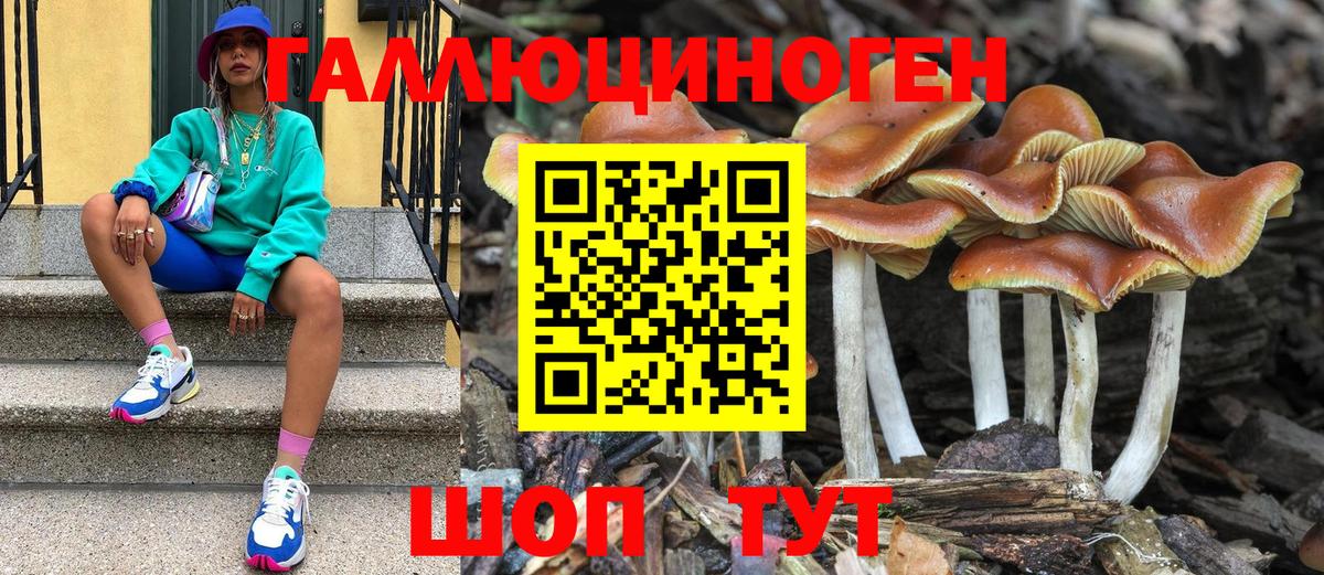 Галлюциногенные грибы Psilocybe Благодарный