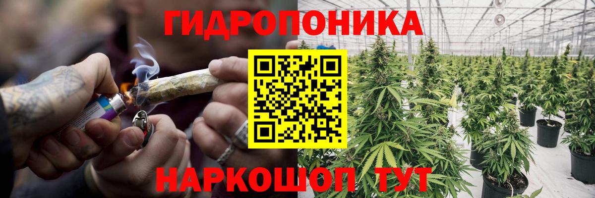 Благодарный  Конопля сатива  Вход с VPN  Бошки Шишки план 