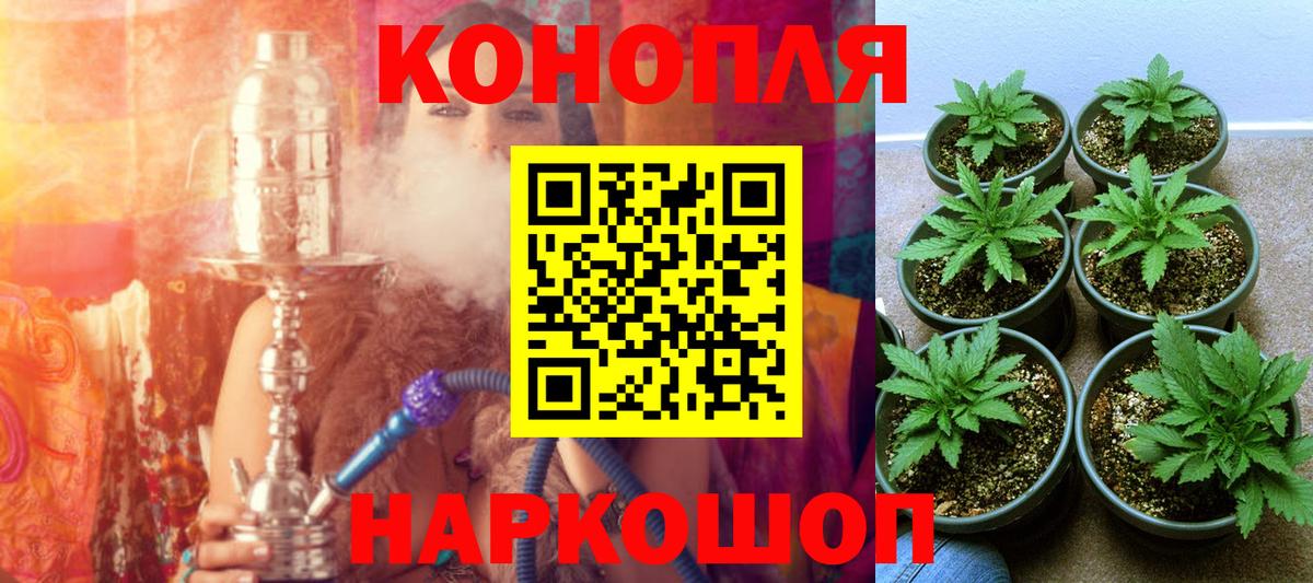 Канабис White Widow  Благодарный  Бошки Шишки планчик 